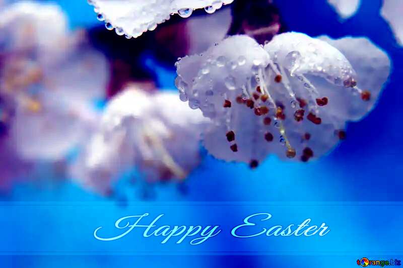 Spring wallpapers for desktop Blue card with Inscription Happy Easter №29885