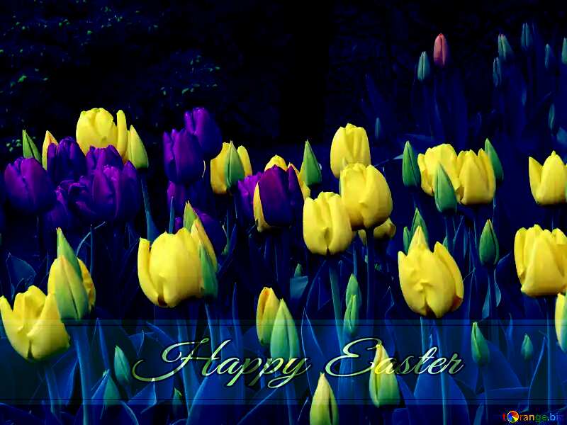 Tulips bloom in the spring Blue card with Inscription Happy Easter №31279
