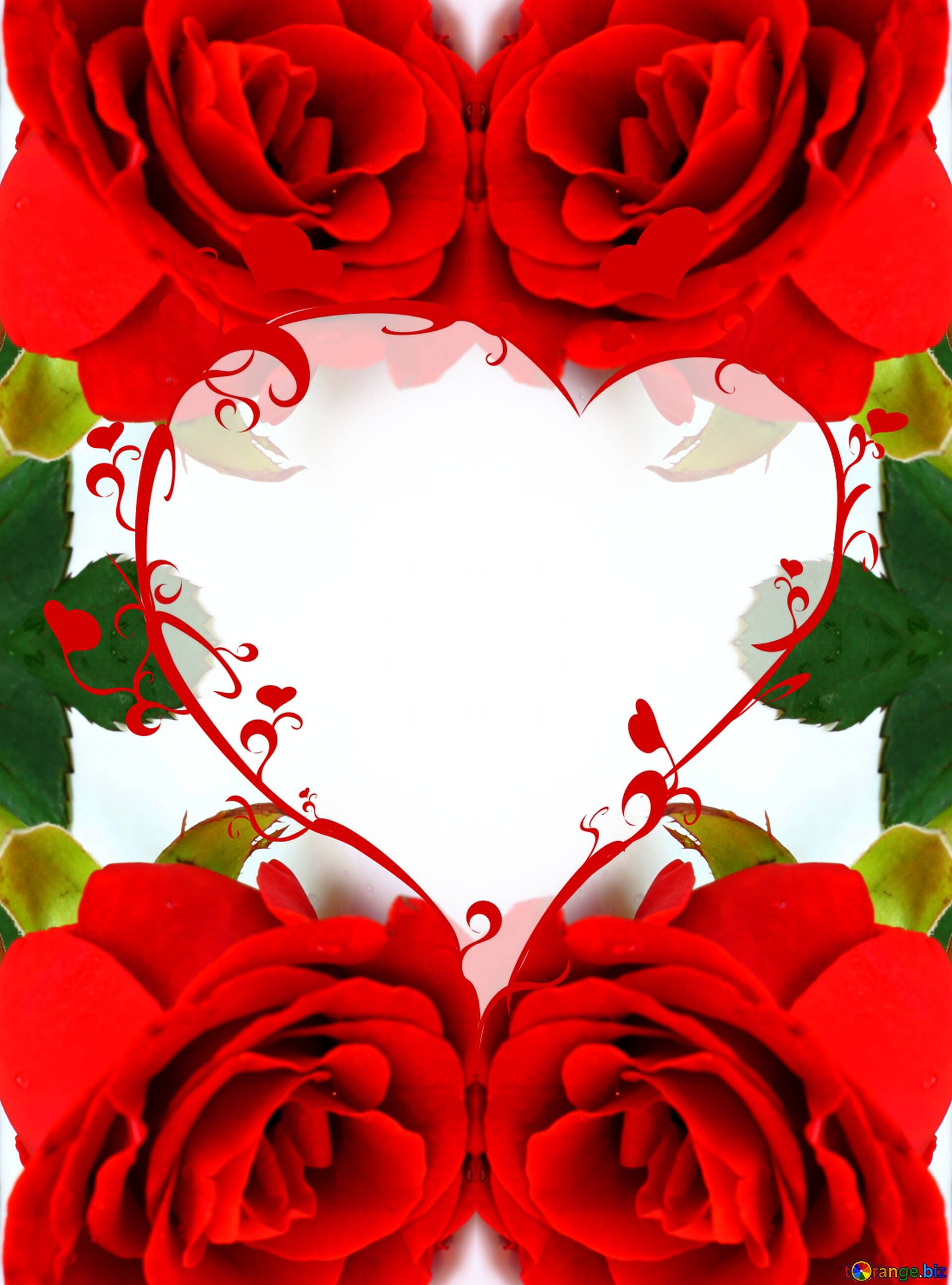 Rose frame with heart Download free picture №17952