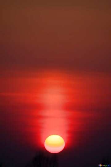 FX №17677 Beige color. Red Sunset. Background..