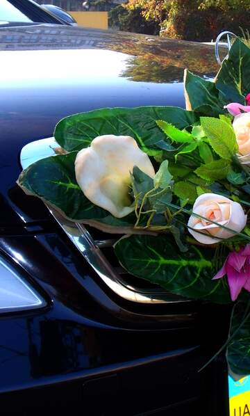 FX №17435 Bright colors. Wedding  bouquet  at  car.