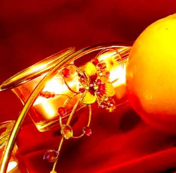 FX №17858 Image for profile picture Citrus in still life.