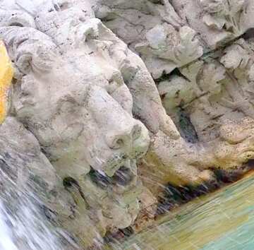 FX №17603 Image for profile picture Sculpture of lion in the fountain.