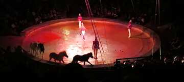 FX №17849 Red color. Circus arena.
