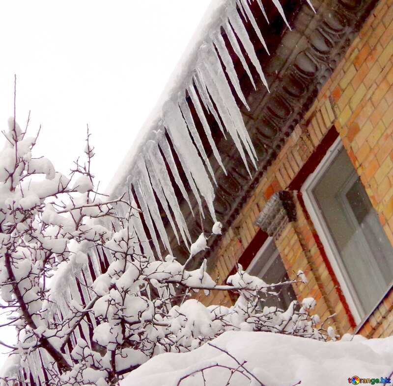 Image for profile picture Many icicles on the roof. №15592