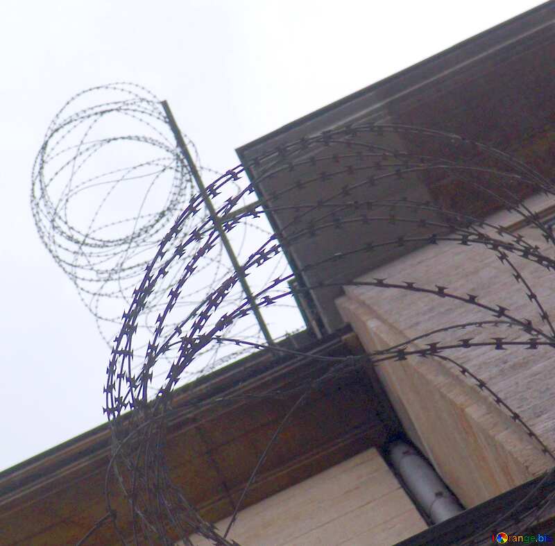 Image for profile picture Prison. №12112