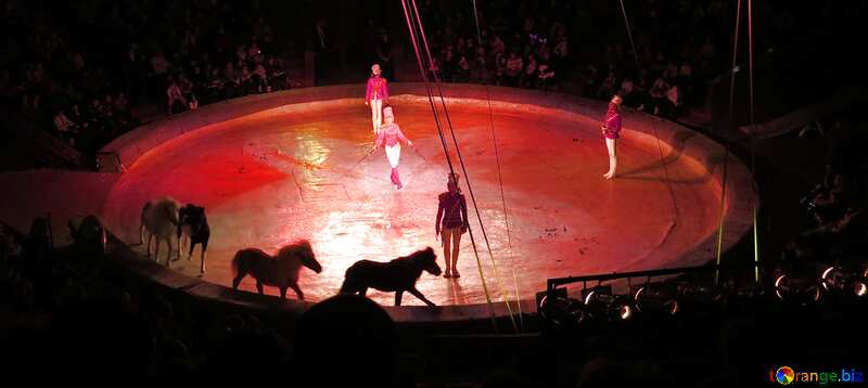 Red color. Circus arena. №15776