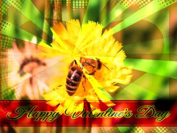 FX №170566 Bee on yellow flower Greeting card retro style background Lettering Happy Valentine`s Day