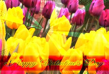 FX №170510 The flowers are tulips Greeting card retro style background Lettering Happy Valentine`s Day