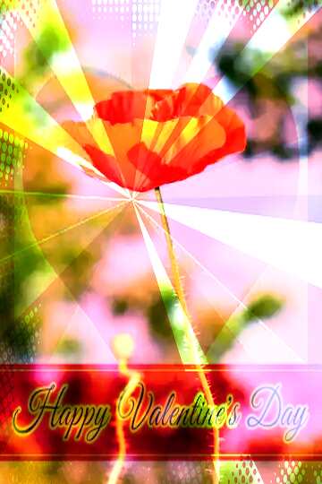 FX №170405 Poppy flower Greeting card retro style background Lettering Happy Valentine`s Day