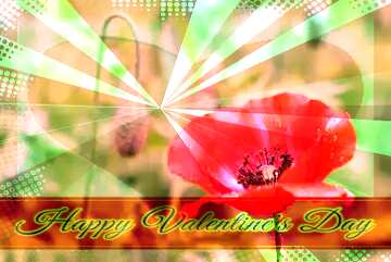 FX №170456 Poppy flowers Greeting card retro style background Lettering Happy Valentine`s Day