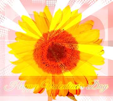FX №170496 Sunflower flower Greeting card retro style background Lettering Happy Valentine`s Day
