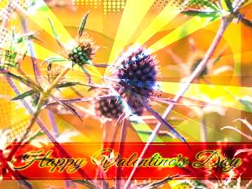 FX №170449 Wildflower Eryngium Greeting card retro style background Lettering Happy Valentine`s Day