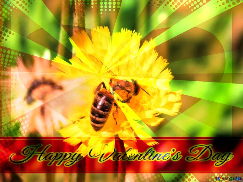 Bee on yellow flower Greeting card retro style background Lettering Happy Valentine`s Day №25013