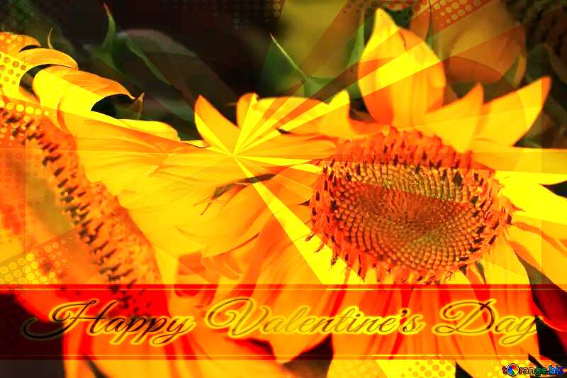 Bright sunflower Greeting card retro style background Lettering Happy Valentine`s Day №32805