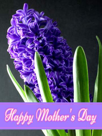 FX №171334 Flower hyacinths Pretty Lettering Happy Mothers Day