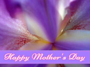 FX №171275 Macro flower background Pretty Lettering Happy Mothers Day