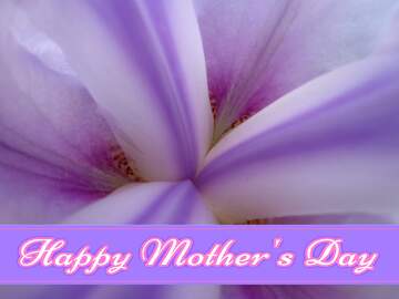 FX №171276 Macro flower background Pretty Lettering Happy Mothers Day