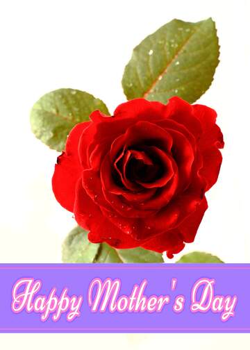 FX №171185 Rose  Pretty Lettering Happy Mothers Day