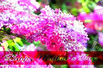 FX №171582 Spring lilac Retro style card for Happy Mother`s Day with Colors rays