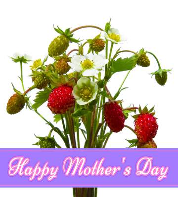 FX №171180 Strawberries Pretty Lettering Happy Mothers Day