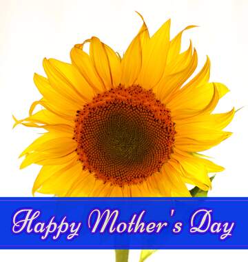 FX №171173 Sunflower Lettering Happy Mothers Day