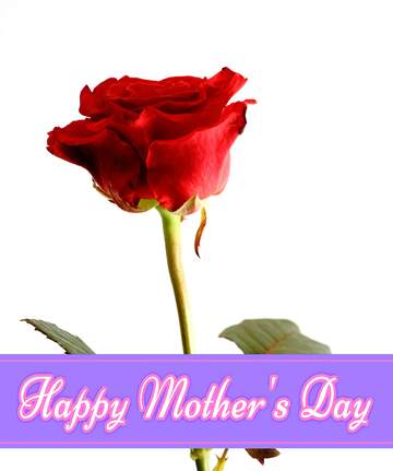 FX №171184 Texture rose on white background Pretty Lettering Happy Mothers Day