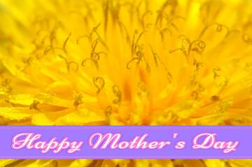 FX №171288 Yellow dandelion flower big Pretty Lettering Happy Mothers Day