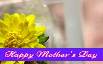 FX №171249 Yellow flower Pretty Lettering Happy Mothers Day