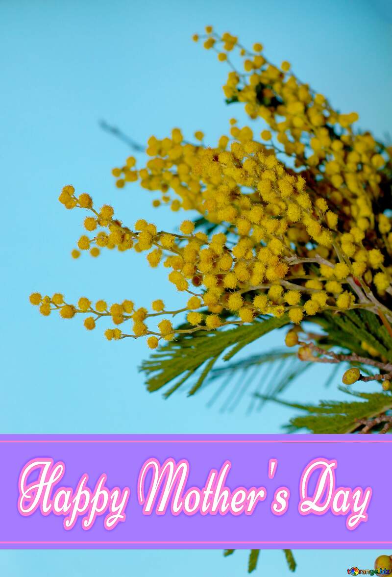 Flower mimosa branch Pretty Lettering Happy Mothers Day №46299
