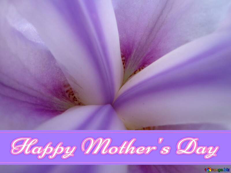 Macro flower background Pretty Lettering Happy Mothers Day №46878