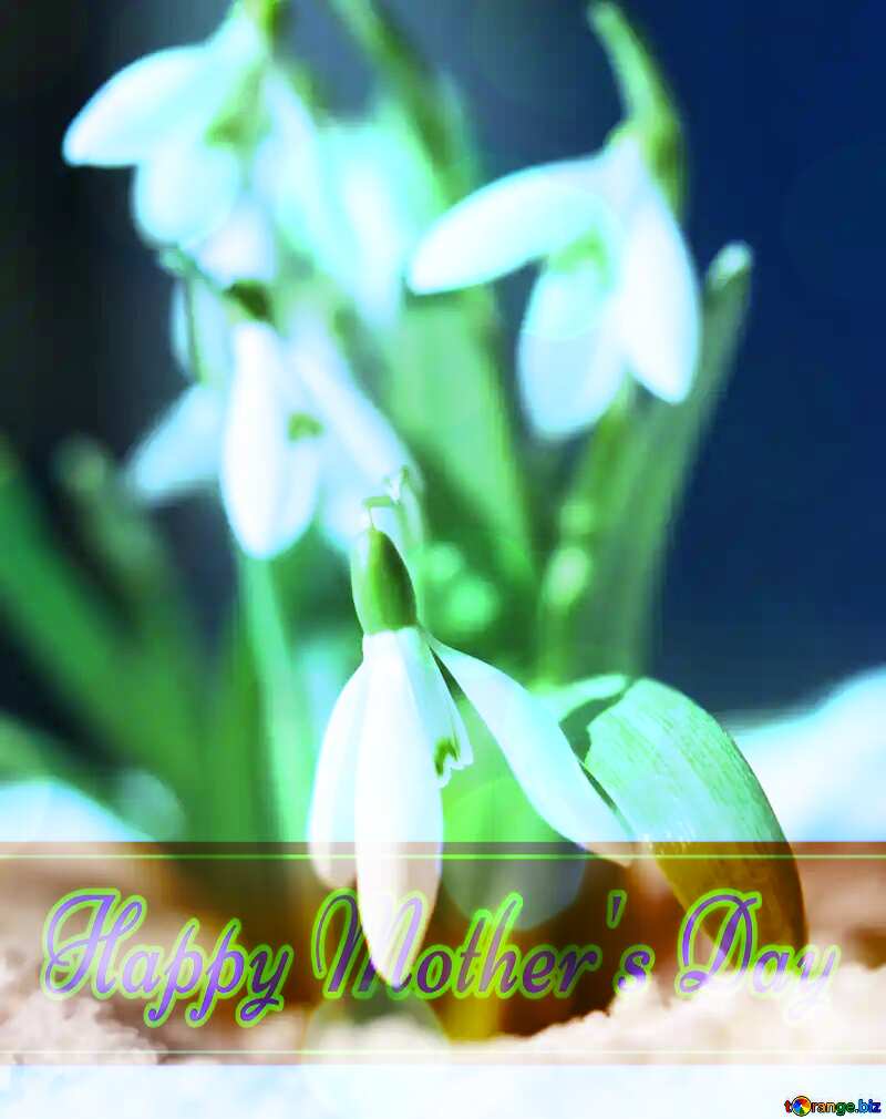 Spring love Happy Mother`s Day card with blue sky Bokeh background №38311