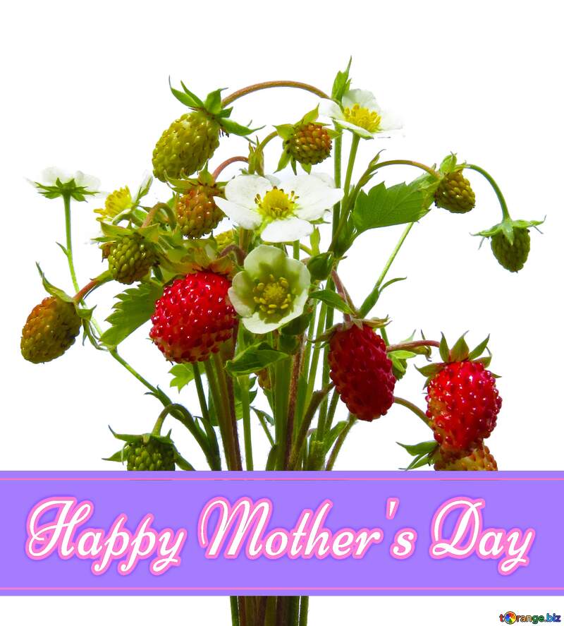 Strawberries Pretty Lettering Happy Mothers Day №29481