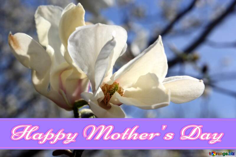 Velvet Magnolia flower Pretty Lettering Happy Mothers Day №39720