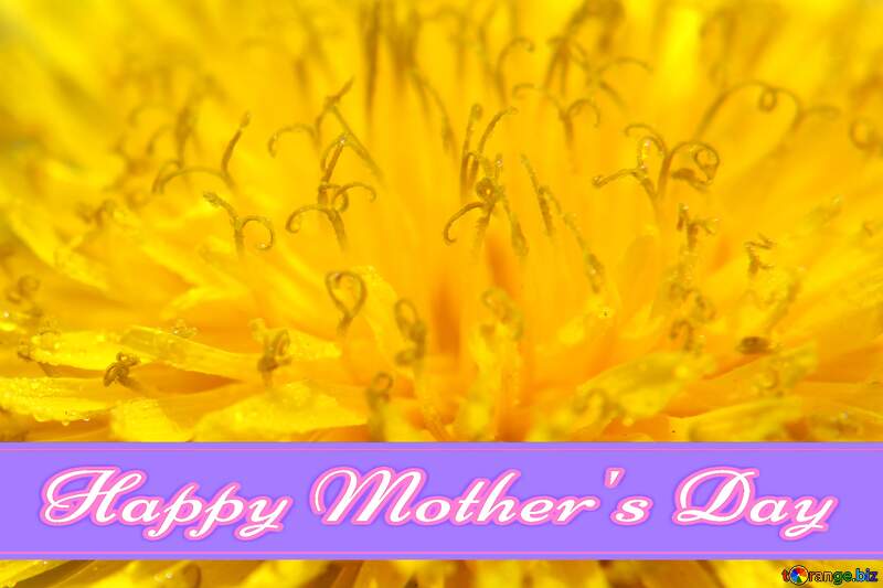 Yellow dandelion flower big Pretty Lettering Happy Mothers Day №46778
