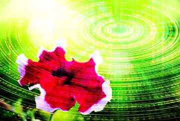 FX №172810 Bindweed flower picture wallpaper for desktop Technology  Futuristic background