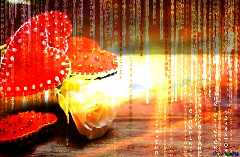 Heart and flower Red Digital technology background with binary code №49207