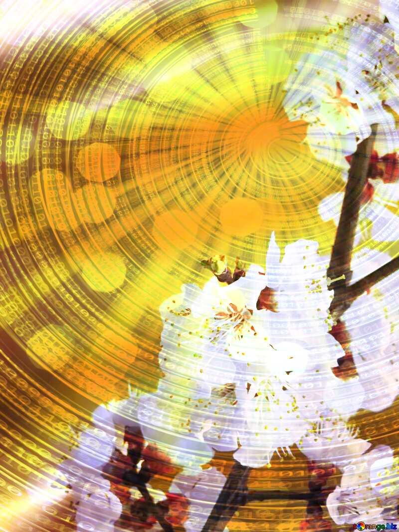 Spring tree flowers on Gold Digital Binary data  bokeh background №29949