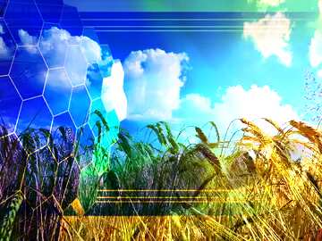 FX №173966 Agribusiness Tech business information concept image for presentation