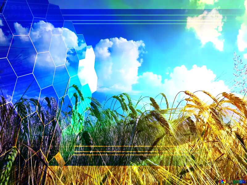 Agribusiness Tech business information concept image for presentation №32551