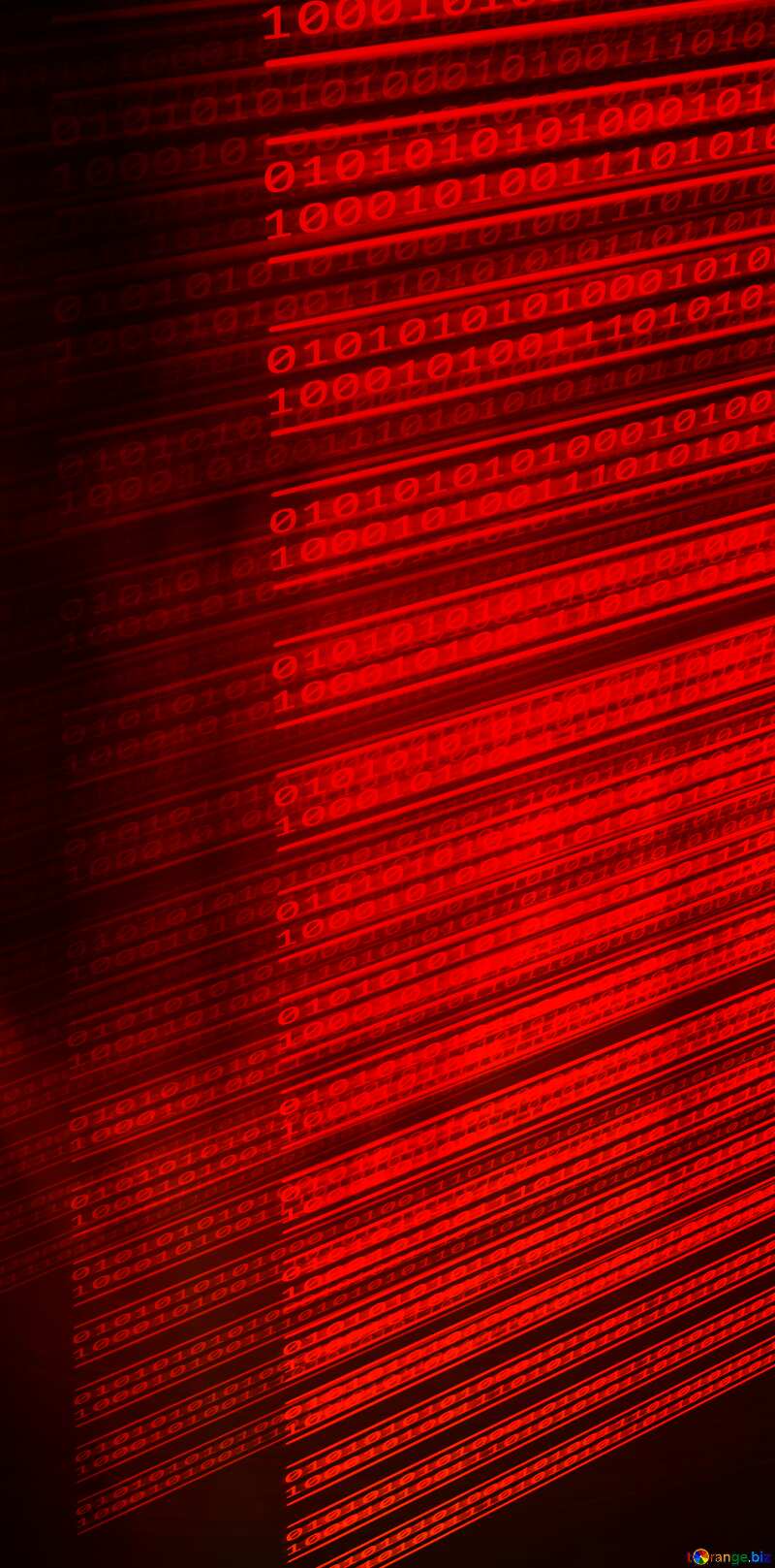 Dark Red Digital banner background №49673