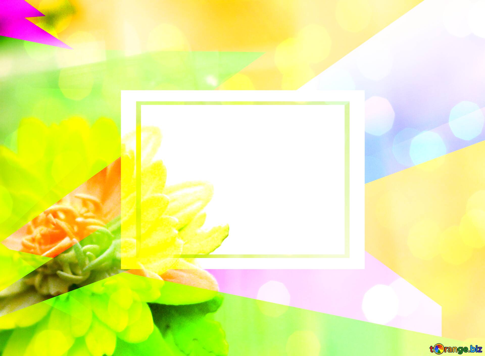 Những đóa hoa màu vàng sáng rực trên nền trắng tinh khiết sẽ mang đến cho bạn cảm giác sảng khoái và đầy năng lượng.