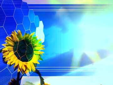 FX №174040 Agribusiness Sunflower Tech business information concept background