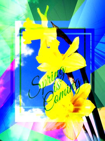 FX №174830 Spring bouquet Colorful illustration template frame with Rays of sunlight and Lettering Spring is...