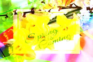 FX №174836 Spring flowers Colorful illustration template frame with Rays of sunlight and Lettering Spring is...