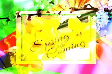 FX №174913 Spring flowers template card frame with inscription Spring is Coming