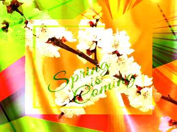 FX №174845 Spring Gold Colorful illustration template frame with Rays of sunlight and Lettering Spring is...