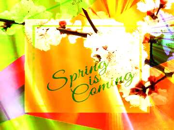 FX №174844 Spring golden background Colorful illustration template frame with Rays of sunlight and Lettering...