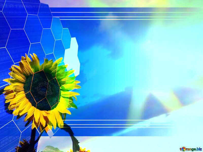 Agribusiness Sunflower Tech business information concept background №2490