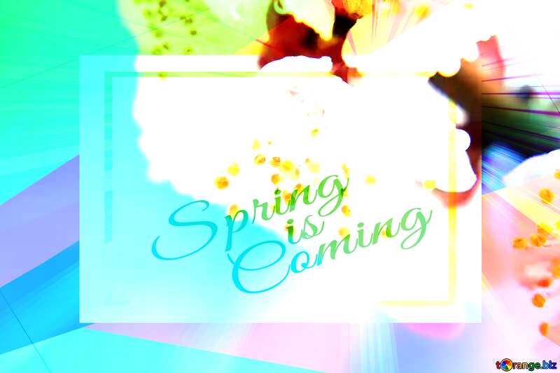 Beautiful spring background Colorful illustration template frame with Rays of sunlight and Lettering Spring is Coming №29892